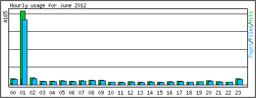 Hourly usage