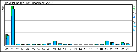 Hourly usage