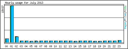 Hourly usage