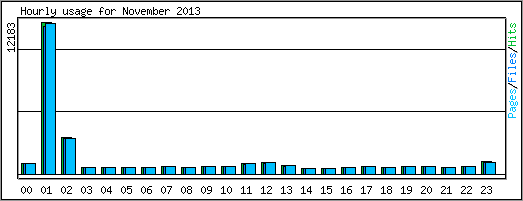 Hourly usage