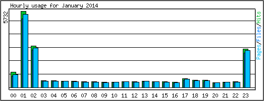 Hourly usage