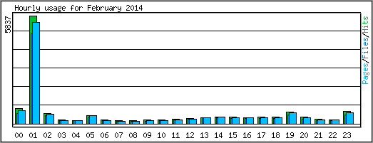 Hourly usage