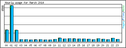 Hourly usage