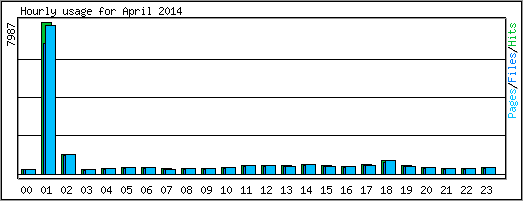 Hourly usage