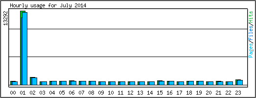 Hourly usage