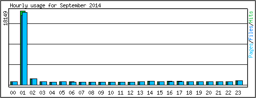 Hourly usage