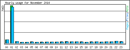 Hourly usage