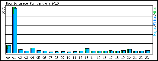 Hourly usage