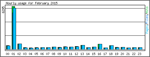 Hourly usage