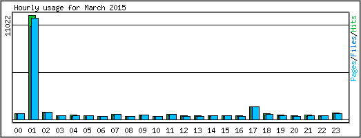 Hourly usage