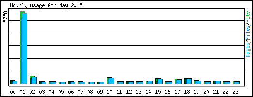 Hourly usage