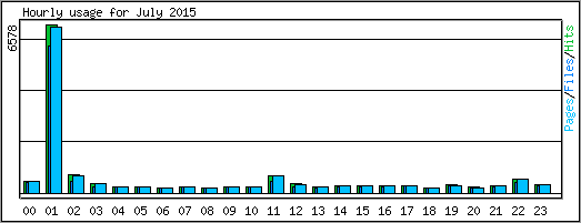 Hourly usage