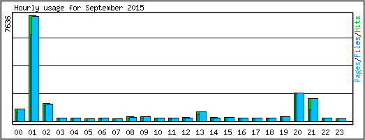 Hourly usage