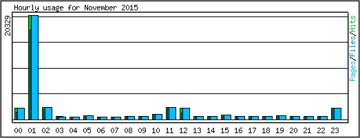 Hourly usage