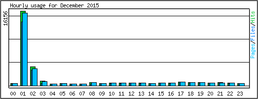 Hourly usage