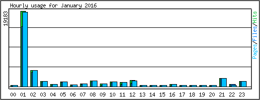 Hourly usage