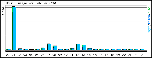 Hourly usage