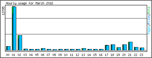 Hourly usage