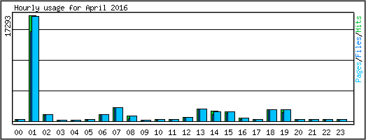 Hourly usage