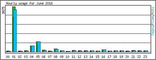 Hourly usage