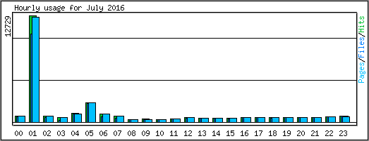 Hourly usage