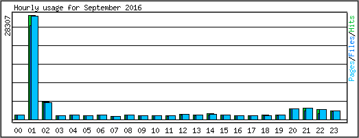 Hourly usage