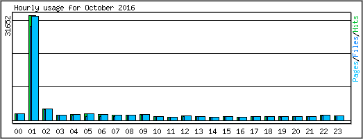 Hourly usage