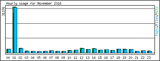 Hourly usage