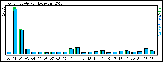 Hourly usage