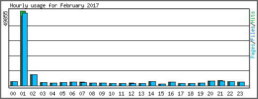 Hourly usage