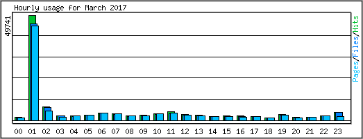 Hourly usage