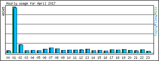 Hourly usage