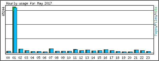 Hourly usage