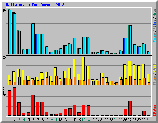 Daily usage for August 2013