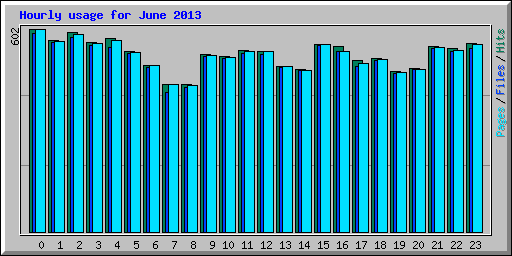 Hourly usage for June 2013